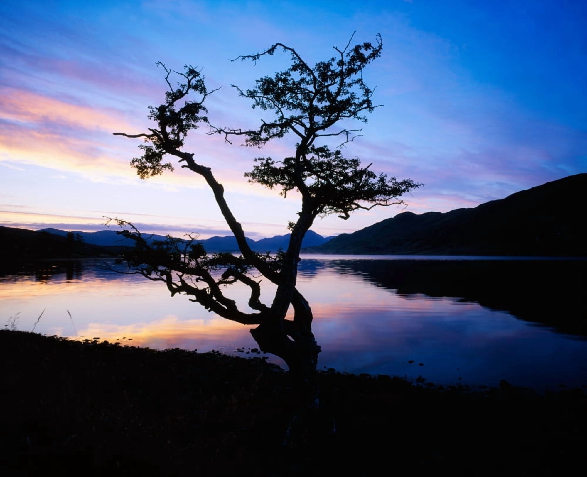 Kylemore Lake Connemara Co Galway Ireland Canvas Art - The Irish Image Collection Design Pics (32 x 26)