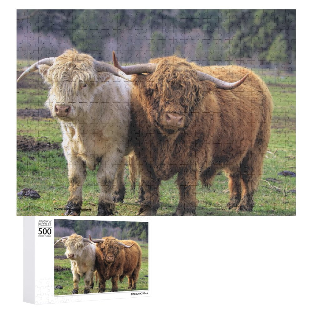 Kyloe Highland Cattle Pair Bull Cow Scottish Breed Jigsaw Puzzles 1000