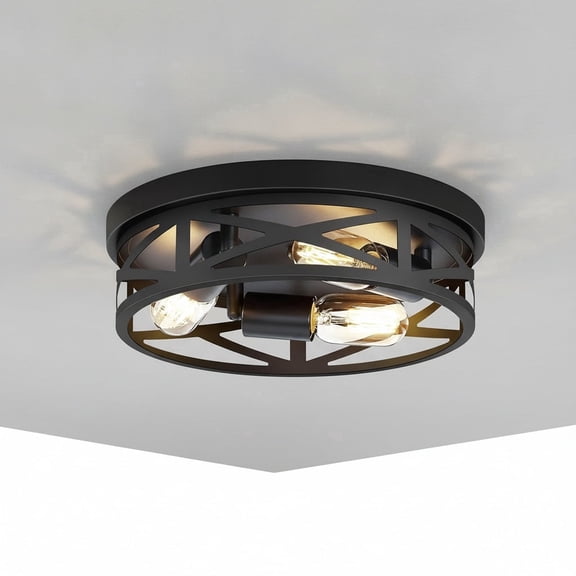 Kyoeon 13 inch Black Flush Mount Ceiling Light, 3-Light Industrial Cage Fixture, E26 Base Compatible for Living Room Bedroom Hallway