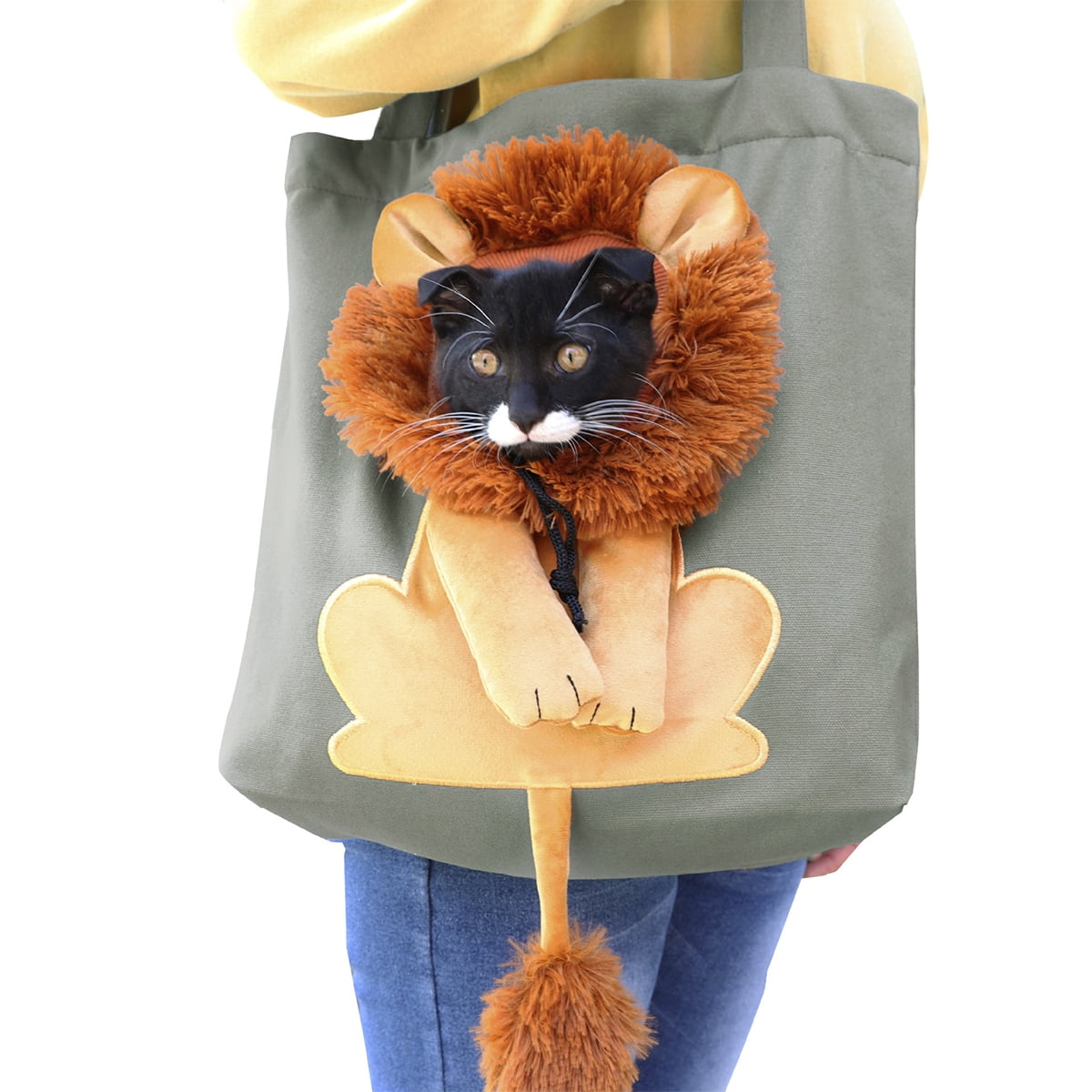 My New Lion Cat Carrier Bag (Video!) - Summer's Fabulous Cat Life