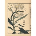 thumbnail image 1 of Kyouchikutou Or Oleander Flower, Nerium Oleander Var Indicum Poster Print By ® Florilegius Mary Evans (18 X 24), 1 of 3