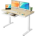 thumbnail image 1 of CHITOOMA One Piece Electric Standing Desk with Drawer, 48" x 24" Maple Wood-top Height Adjustable Office Desk with USB Charging Ports, Sit to Stand Desk for Home, 1 of 11