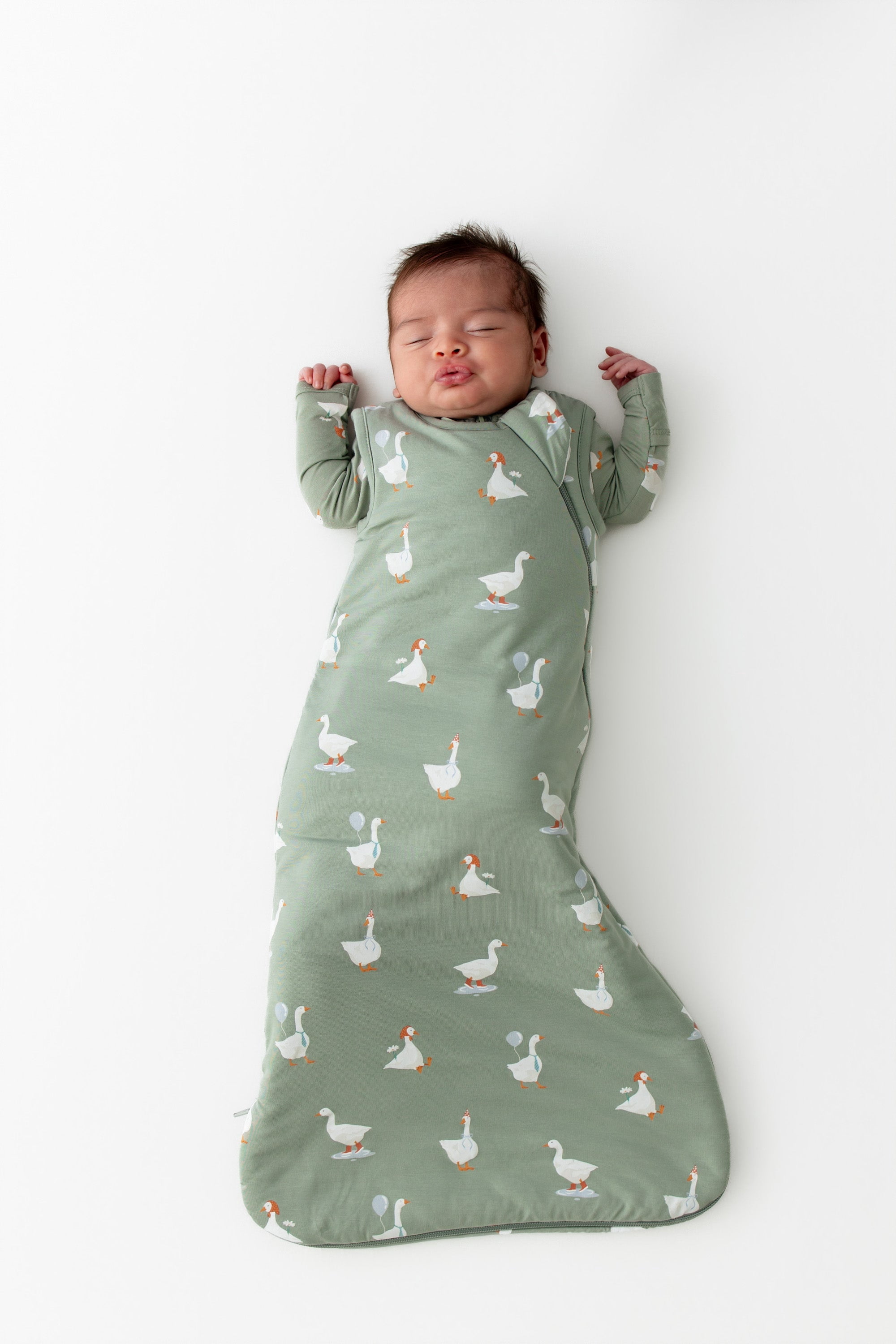 Kyte Baby Sleep Bag in Silly Goose 1.0