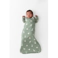 thumbnail image 1 of Kyte Baby Sleep Bag in Silly Goose 1.0, 1 of 6
