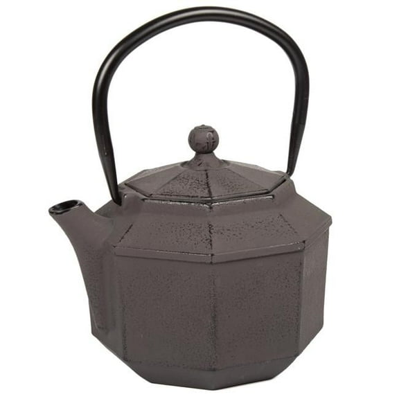 Kyusu Brown Cast Iron 34 oz. Tea Pot