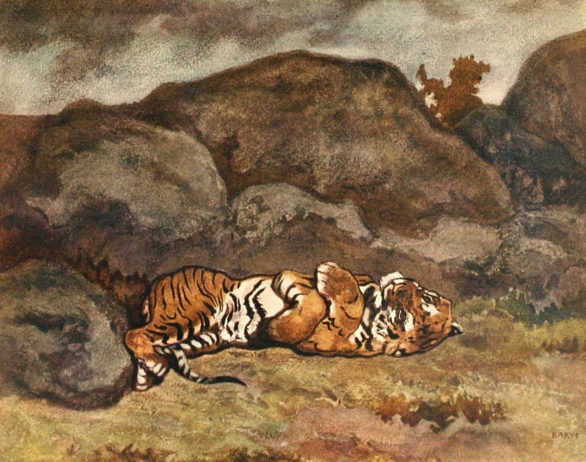 L Art et les artistes 1895 Rolling tiger Canvas Art - Antoine-Louis Barye (24 x 36)