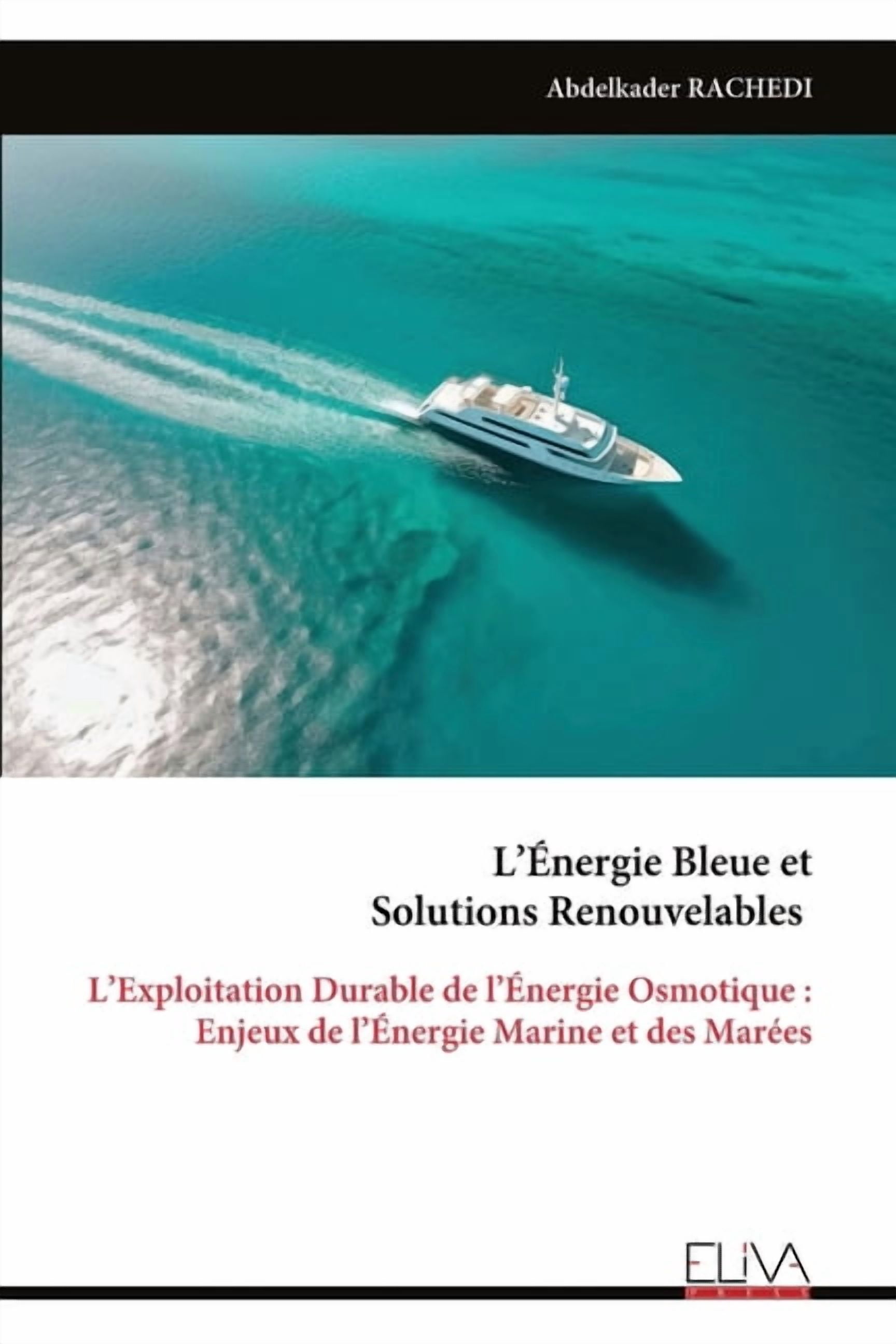 L'Ãnergie Bleue et Solutions Renouvelables: L'Exploitation Durable de l'Ãnergie Osmotique: Enjeux de l&ap, (Paperback)