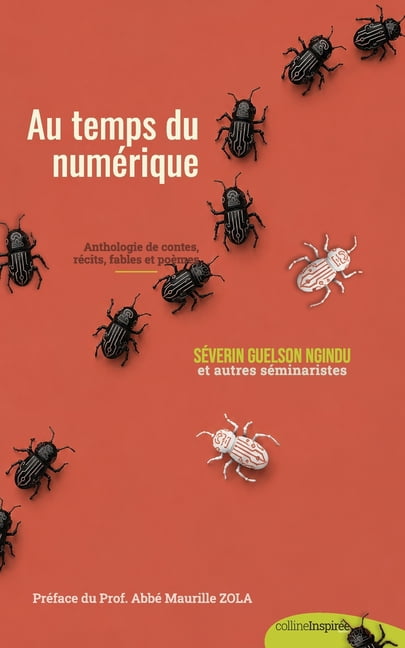 L'Ã©ducation Ã  l'Ã¨re numÃ©rique, (Paperback)
