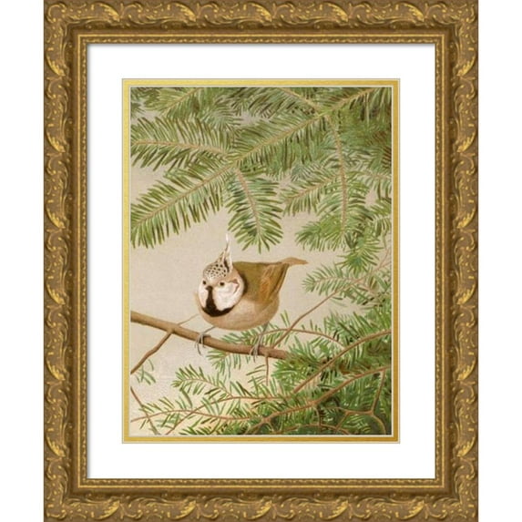 Léo-Paul Robert 12x14 Gold Ornate Wood Frame and Double Matted Museum Art Print Titled - Huppee Chickadee (1880)