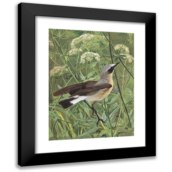 Léo-Paul Robert 14x18 Black Modern Framed Museum Art Print Titled - Motteux Traquet (1879)