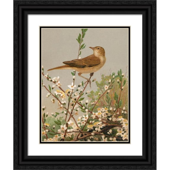 Léo-Paul Robert 15x18 Black Ornate Wood Framed Double Matted Museum Art Print Titled - Garden Fauvette (1880)