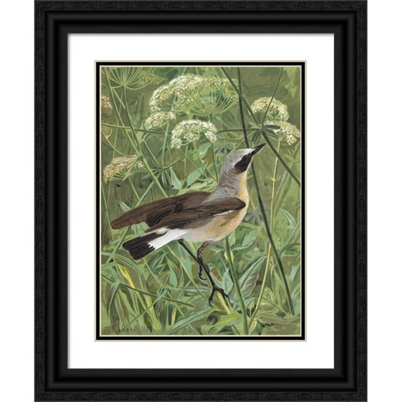 Léo-Paul Robert 19x24 Black Ornate Framed Double Matted Museum Art Print Titled: Motteux Traquet (1879)