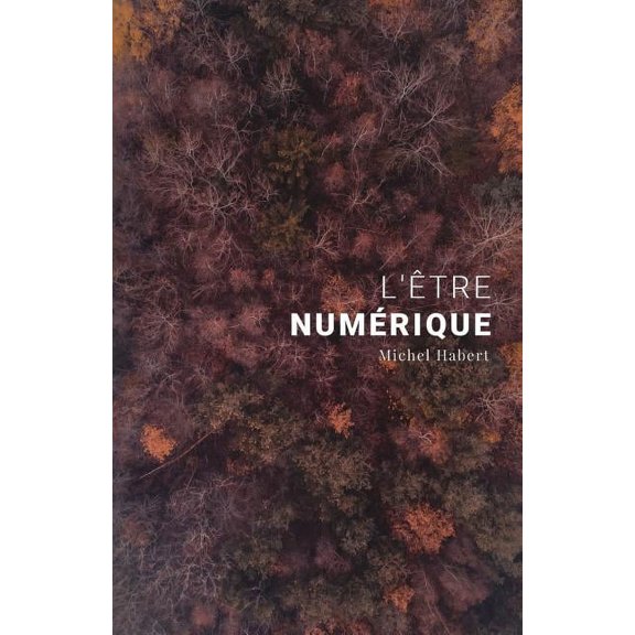 L'tre numrique (Paperback)