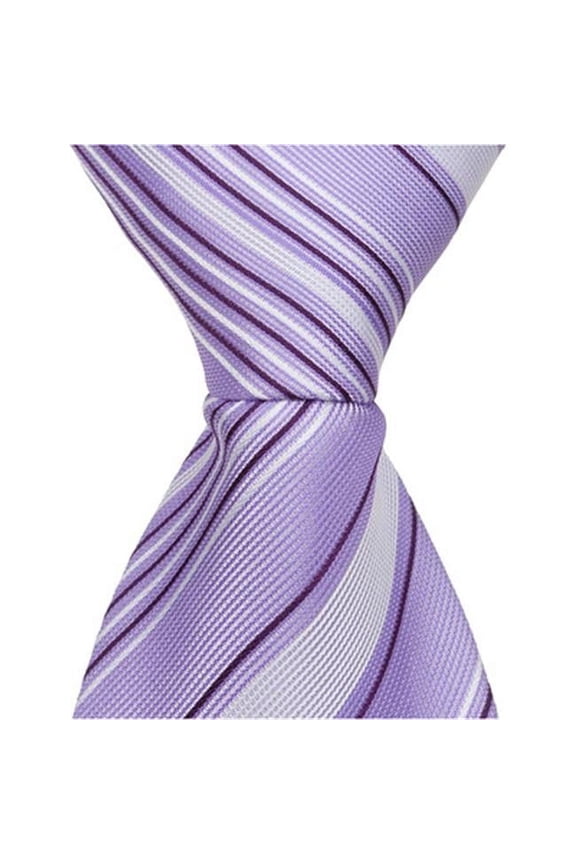 L3 - 6 in. Newborn Zipper Necktie - Purple With Dark & Light Stripes