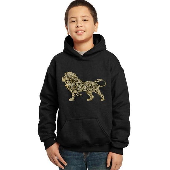 LA Pop Art Boy's Word Art Hooded Sweatshirt - Lion