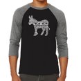 thumbnail image 1 of LA Pop Art Men's Raglan Word Art T-Shirt - I Vote Democrat, 1 of 2