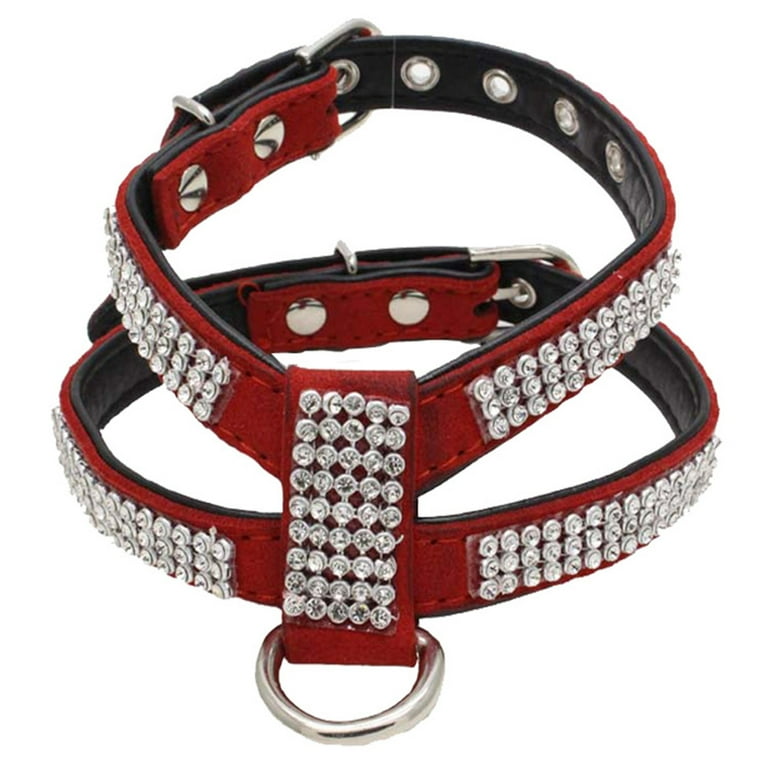 Dog chest belt store leather