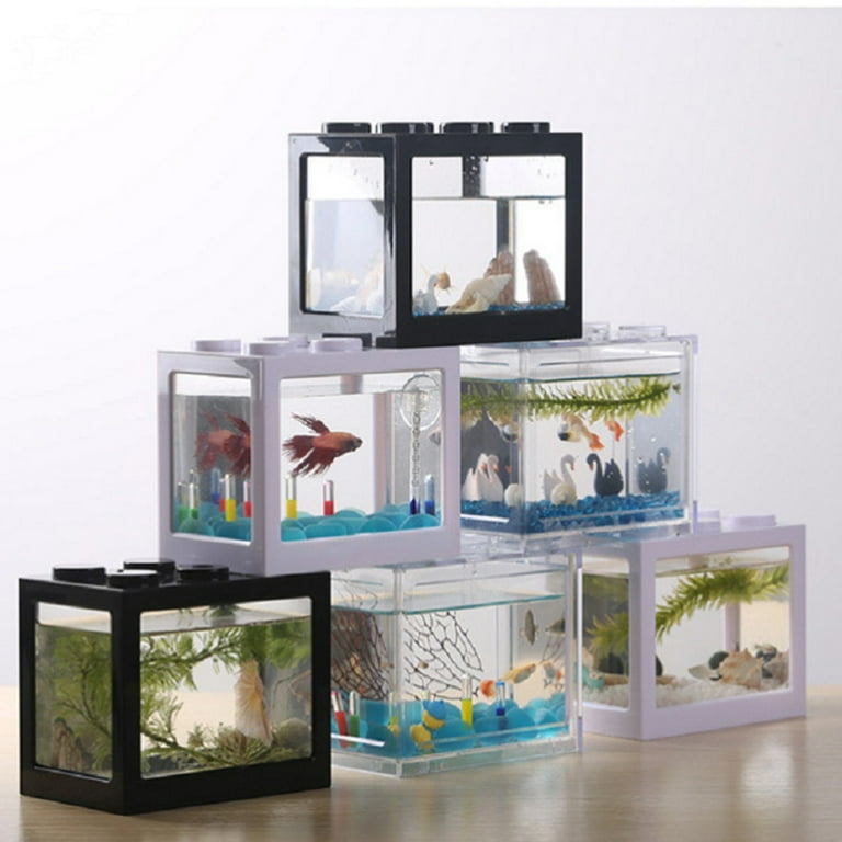 Pets at home tropical fish clearance tank