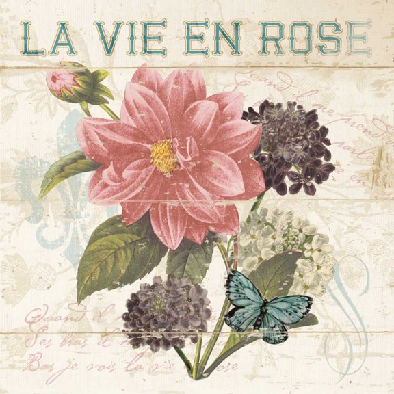 LA VIE EN ROSE Poster Print - Piper Ballantyne (24 x 24)