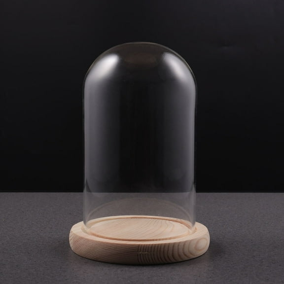 Tineasur Clear Glass Display Dome with Wooden Base - Protective Showcase for Collectibles, Decor, and Keepsakes - 1 Set