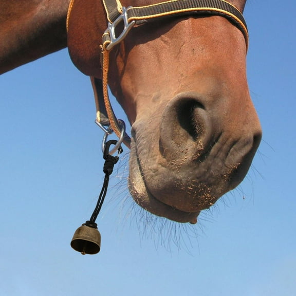 LABELEPH Bear Bell 1Pack for Outdoor Enthusiasts and Pet Owners