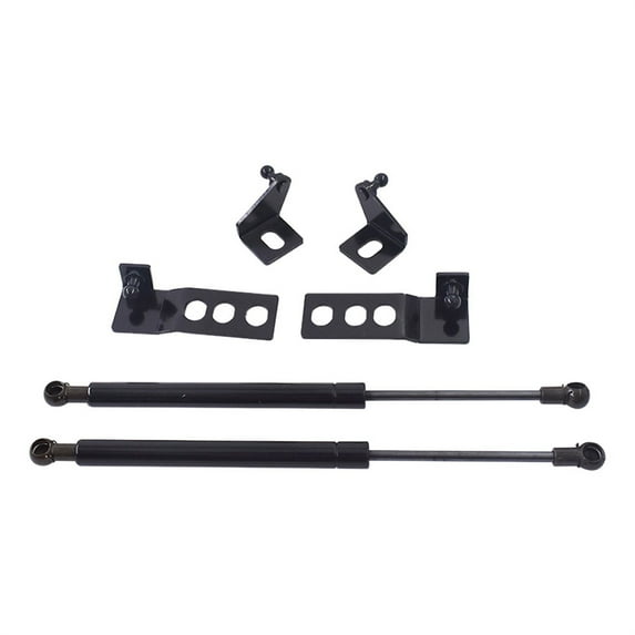 LABLT Engine Hood Lift Support Shock Strut Damper 2 Pcs/Set for Toyota RAV4 2019-2020