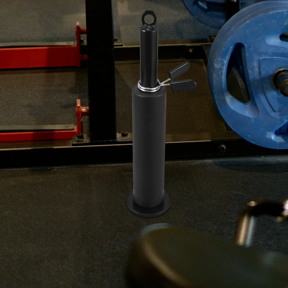 LABSERRON 1 Set Weight Loading Pin for Strength Training 12.9X2.8X2.8in