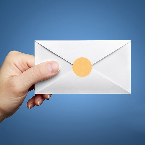 LABSERRON 2 Rolls Elegant Look Label Stickers for DIY Projects and Storage Tags Khaki Round 500 Labels per Roll