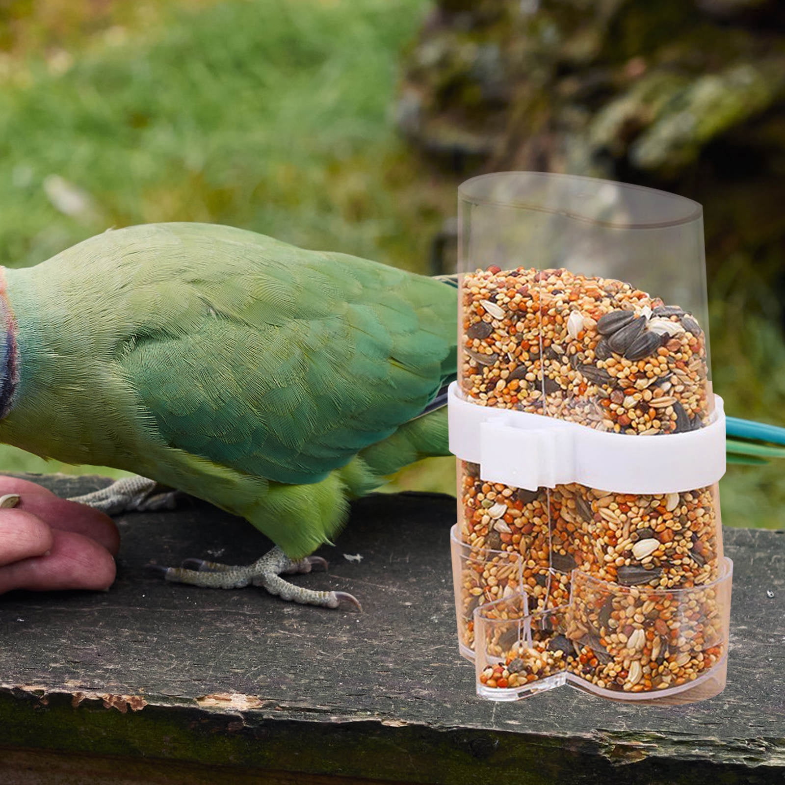 Photo inspiration: Visual Reference: Labserron 2Pcs Automatic Bird Feeder Transparent Pvc Parrot Food Container