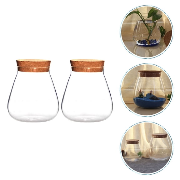 LABSERRON Aesthetic Flower Vase Micro Landscape Vases Clear Glass 2Pcs 16x15cm