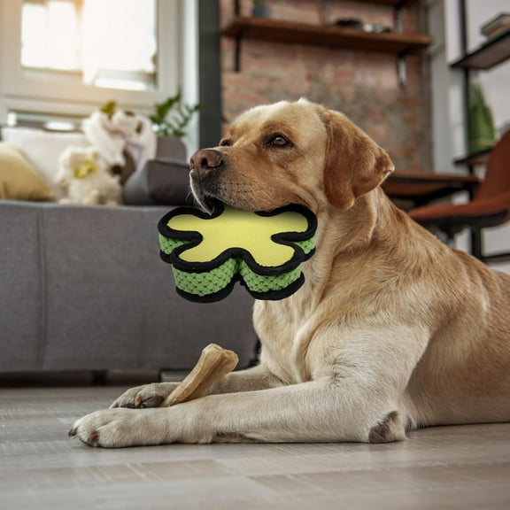 LABSERRON Pet Sounding Toy Latex Five Pointed Star Shape 1Set For Dogs Indoor Entertainment