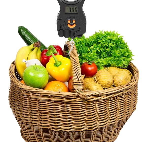 LABSERRON Portable Luggage Scale, Lightweight and High Precision and Kitchen Weight Measuring Tool