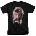 thumbnail image 1 of LABYRINTH/GOBLIN KING - S/S ADULT 18/1 - BLACK - 2X, 1 of 1