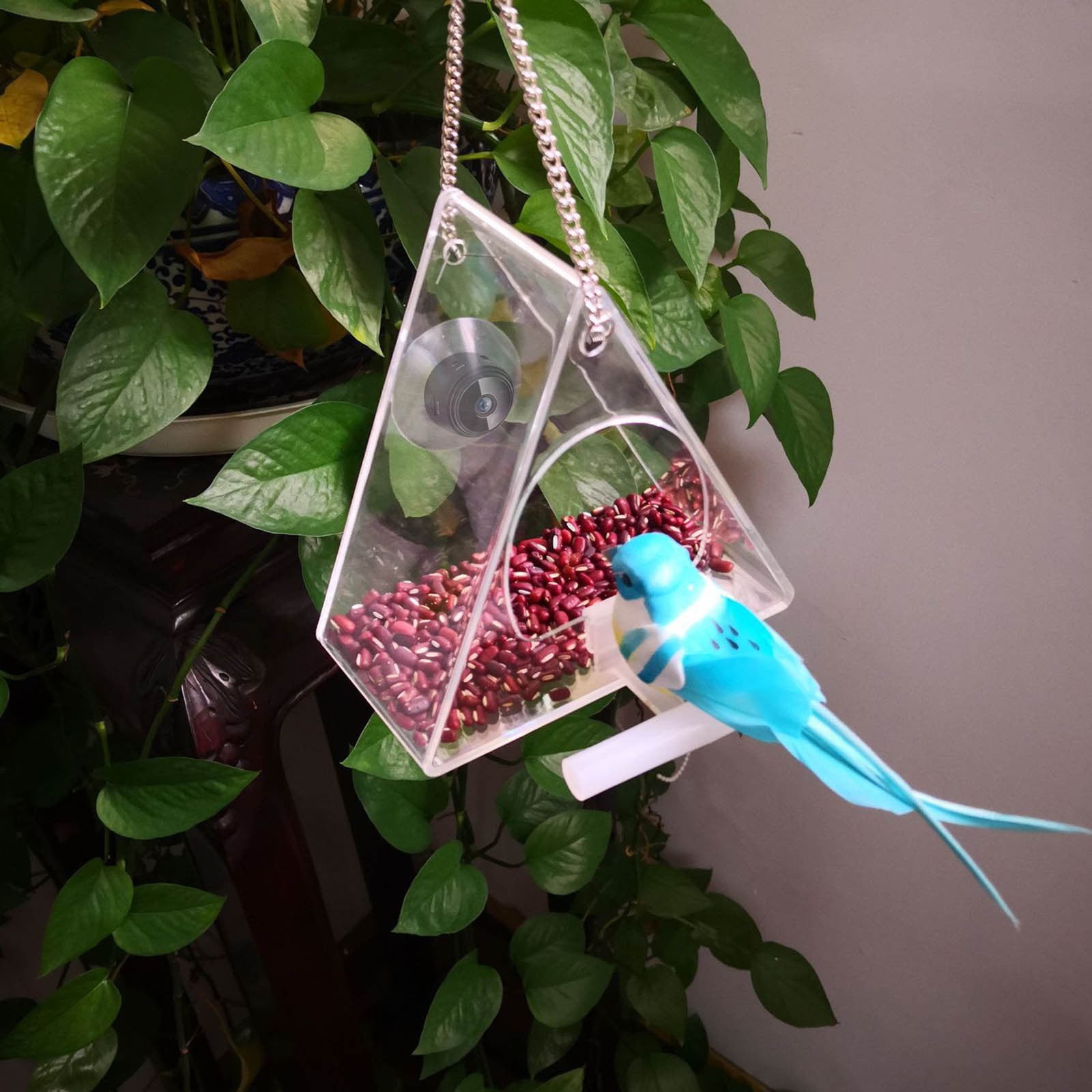 LACKUST Bird Feeders Outdoor Clearance,HD 1080P Bird Feeder Camera with Night Vision and WiFi for Outdoor Bird Watching and Photo Capture,Clear