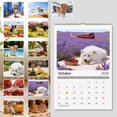 thumbnail image 1 of LACKUST Personalized Pet Calendar 2026 Custom Photo Wall Calendar for Dog or Cat | Gift for Pet Lovers | Thick Paper Large Squares, 1 of 8