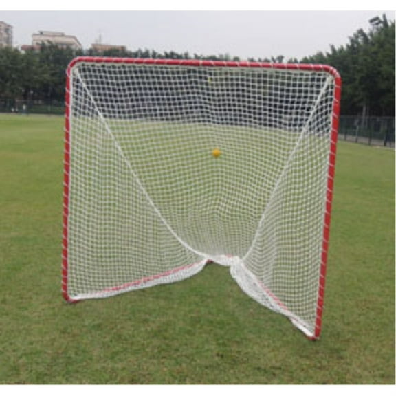 LACROSSE GOAL-BACKYARD