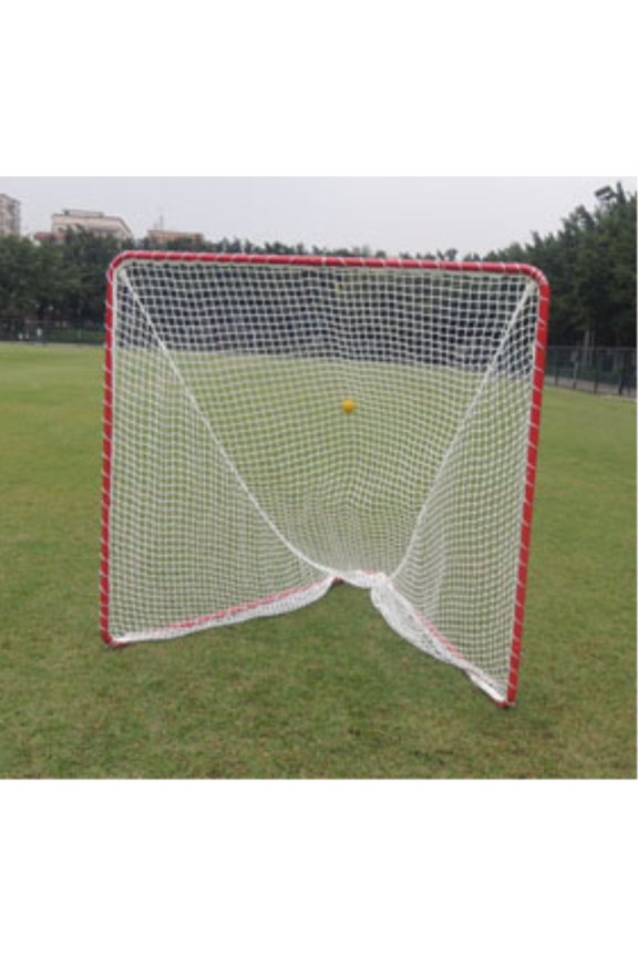 LACROSSE GOAL-BACKYARD