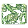 thumbnail image 1 of LADDKE Abstract Seamless Exotic Pattern with Tropical Leaves Aloha Art Background Mousepad Mouse Pad Mouse Mat 9x10 inch, 1 of 1