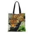 thumbnail image 1 of LADDKE Canvas Tote Bag Big Jaguar Cat South America Reusable Handbag Shoulder Grocery Shopping Bags, 1 of 1