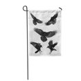 thumbnail image 1 of LADDKE Crow Birds Mix Flying Common Ravens Corvus Corax Halloween Garden Flag Decorative Flag House Banner 12x18 inch, 1 of 1