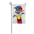 thumbnail image 1 of LADDKE Funny Motorbike Couple at Speed Helmet and Crazy Glasses Garden Flag Decorative Flag House Banner 28x40 inch, 1 of 1