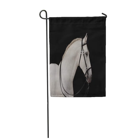 LADDKE Horse White Andalusian Stallion Isolated on Black Head Western Bridle Garden Flag Decorative Flag House Banner 12x18 inch