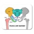 thumbnail image 1 of LADDKE Human Male Anatomy Scheme Main Pelvis Bones Sacrum Ilium Coccyx Mousepad Mouse Pad Mouse Mat 9x10 inch, 1 of 1