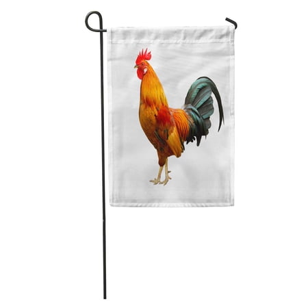 LADDKE Red Cock Beautiful Rooster Brown White Tail Chicken Portrait Bird Garden Flag Decorative Flag House Banner 12x18 inch