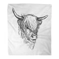 thumbnail image 1 of LADDKE Throw Blanket Warm Cozy Print Flannel Beautiful Scottish Rural Hairy Cow Coo from Highlands Comfortable Soft for Bed Sofa and Couch 50x60 Inches, 1 of 1