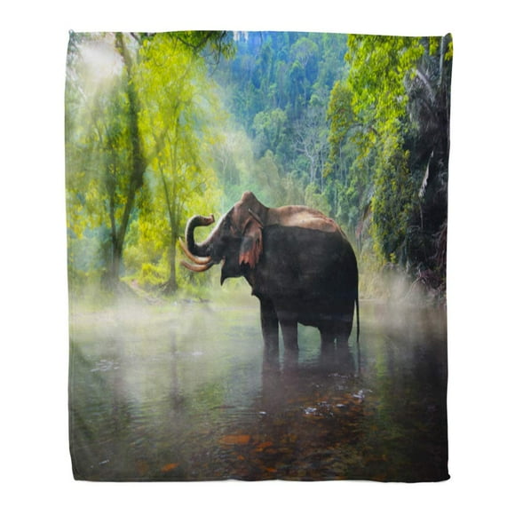 LADDKE Throw Blanket Warm Cozy Print Flannel Wild Elephant in The Beautiful Forest at Kanchanaburi Province Thailand Comfortable Soft for Bed Sofa and Couch 58x80 Inches