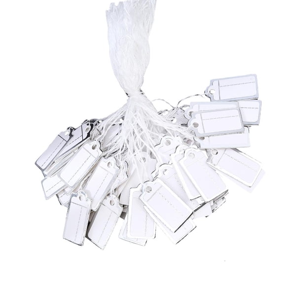 LAIQIEN 500 Pieces Premium Price Display Tickets Silver Coated Paper Stock Pre Punched Holes for Store Organization