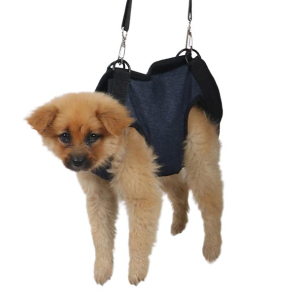 LAIQIEN Assist Puppy Harness for Legs Stand Up for Most Dogs Easy Control Lead