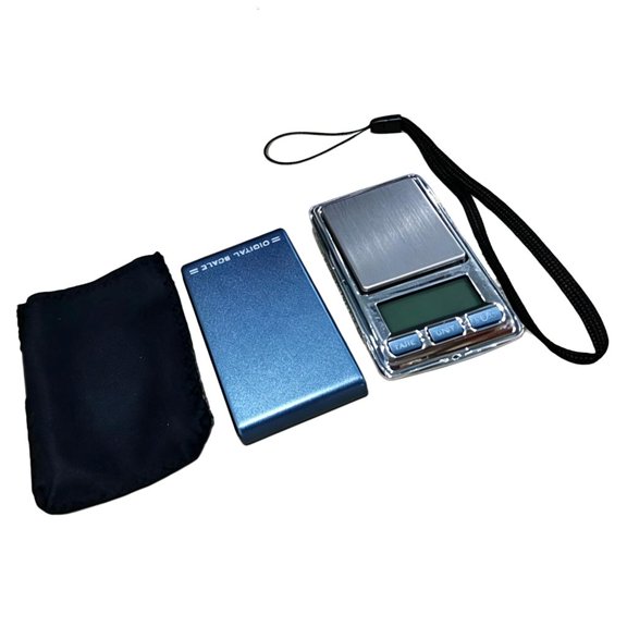 LAIQIEN Digital Lab Scale with Pouch Lanyard Portable Mini Precision Scale Pocket Scale