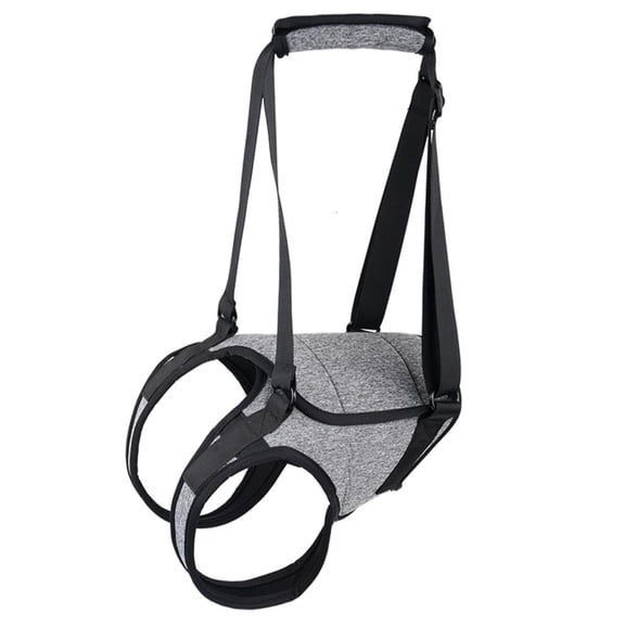 LAIQIEN Puppy Back Leg Support Strap Lift Harness for Dog Surgical Joint Leg Recovery